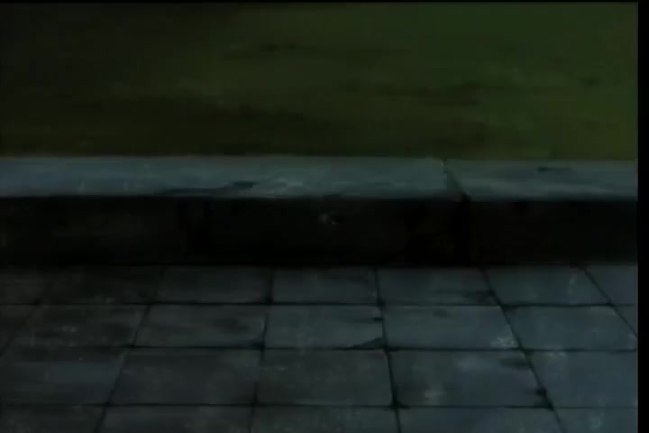 [Tsukyio Editing Resources] Hellsing (Episode 12) Raw Clips (65) (tsukyio.com).mp4